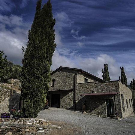 B&B Il Pianolo Perinaldo Екстериор снимка